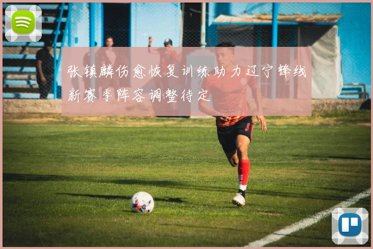 张镇麟伤愈恢复训练助力辽宁锋线新赛季阵容调整待定